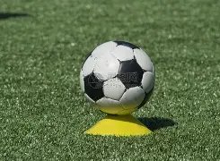 张子枫宣布,加盟,向往的生活,平博体育官网,APP下载,注册领彩金,官方网站,网站入口