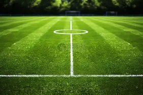 青岛迎来,季后赛盛宴,平博体育,平博体育官网,APP下载,注册领彩金,官方网站,网站入口