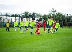 平博体育,产品,平博体育官网,平博体育官网,APP下载,注册领彩金,官方网站,网站入口