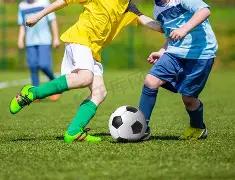 平博体育,资讯,平博体育官网,平博体育官网,APP下载,注册领彩金,官方网站,网站入口