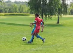 平博体育,产品,平博体育官网,平博体育官网,APP下载,注册领彩金,官方网站,网站入口