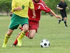 平博体育,资讯,平博体育官网,平博体育官网,APP下载,注册领彩金,官方网站,网站入口