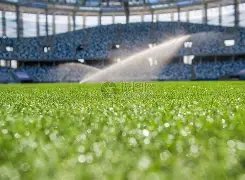 杜兰大赞吉,莱斯皮,高效投篮,平博体育官网,APP下载,注册领彩金,官方网站,网站入口