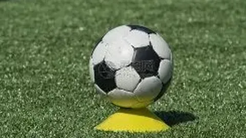 张子枫宣布加盟《向往的生活》第六季录制