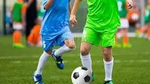 平博体育 产品 133526 lj6