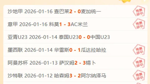 曼联应积极引进凯恩与赖斯，B费不适合领袖球员角色